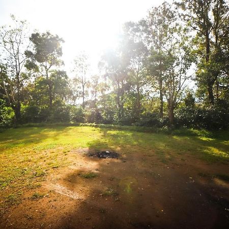 Misty Valley Hill Resorts Nelliyampathy Екстер'єр фото